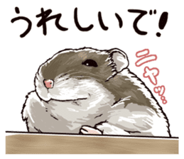 hamster ginji sticker #4925364