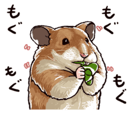 hamster ginji sticker #4925371