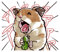 hamster ginji sticker #4925372