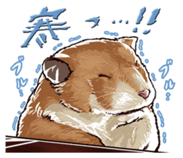 hamster ginji sticker #4925373