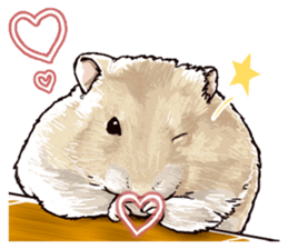 hamster ginji sticker #4925374