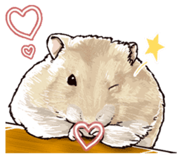hamster ginji sticker #4925374