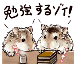 hamster ginji sticker #4925377