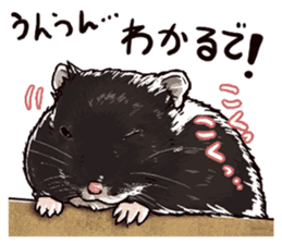 hamster ginji sticker #4925378
