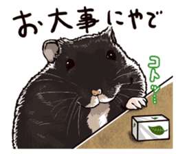 hamster ginji sticker #4925379