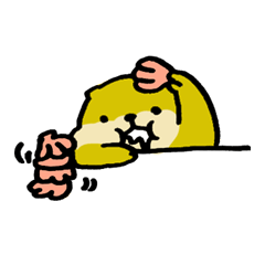 Lily : The chubby cute sea otters