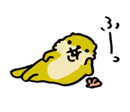 Lily : The chubby cute sea otters sticker #4925968