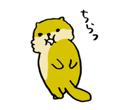 Lily : The chubby cute sea otters sticker #4925973