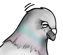 Love and pigeons sticker #4926508