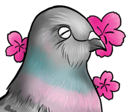 Love and pigeons sticker #4926510