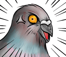 Love and pigeons sticker #4926511