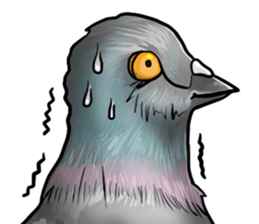 Love and pigeons sticker #4926512