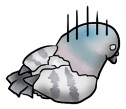 Love and pigeons sticker #4926538