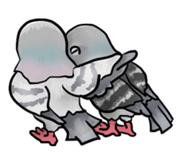 Love and pigeons sticker #4926540