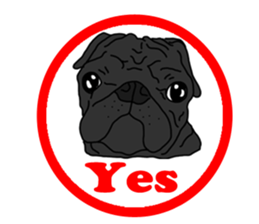 Cute & funny pug sticker #4927304