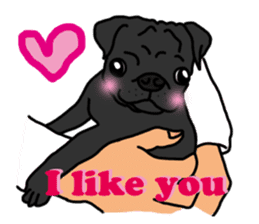 Cute & funny pug sticker #4927324