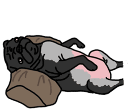 Cute & funny pug sticker #4927336