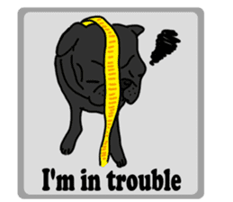 Cute & funny pug sticker #4927338