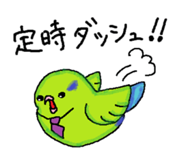 Pacific Parrotlet Worker sticker #4927631