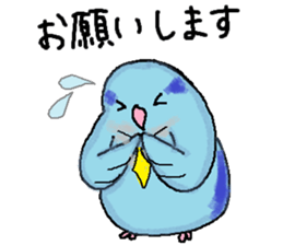 Pacific Parrotlet Worker sticker #4927636