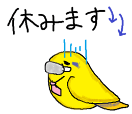 Pacific Parrotlet Worker sticker #4927638