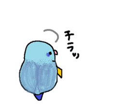 Pacific Parrotlet Worker sticker #4927646