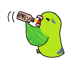 Pacific Parrotlet Worker sticker #4927653
