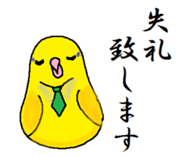 Pacific Parrotlet Worker sticker #4927659