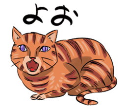 Daisuke, the cat. sticker #4928102