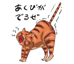 Daisuke, the cat. sticker #4928103