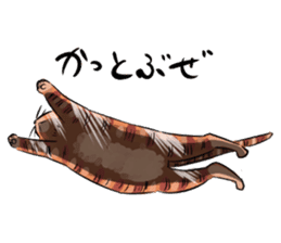Daisuke, the cat. sticker #4928104
