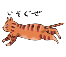 Daisuke, the cat. sticker #4928106