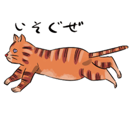 Daisuke, the cat. sticker #4928106
