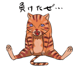 Daisuke, the cat. sticker #4928107