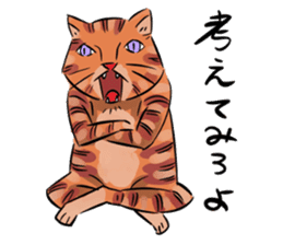 Daisuke, the cat. sticker #4928108