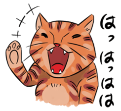 Daisuke, the cat. sticker #4928109