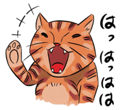 Daisuke, the cat. sticker #4928109