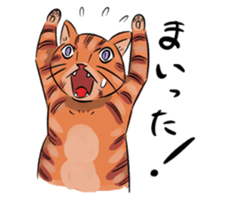 Daisuke, the cat. sticker #4928111