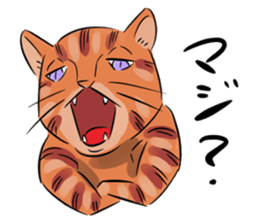 Daisuke, the cat. sticker #4928114