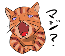 Daisuke, the cat. sticker #4928114