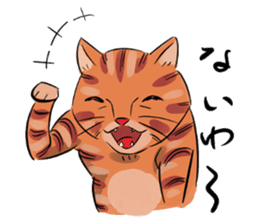 Daisuke, the cat. sticker #4928115