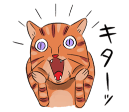 Daisuke, the cat. sticker #4928123
