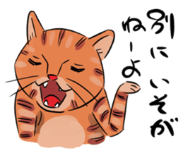 Daisuke, the cat. sticker #4928125