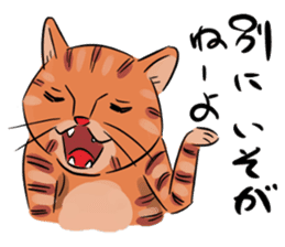 Daisuke, the cat. sticker #4928125