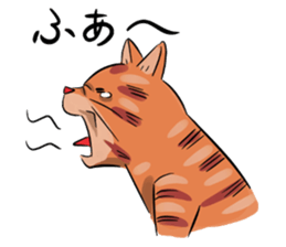 Daisuke, the cat. sticker #4928128