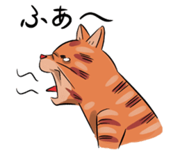 Daisuke, the cat. sticker #4928128