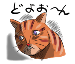 Daisuke, the cat. sticker #4928129