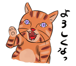 Daisuke, the cat. sticker #4928130