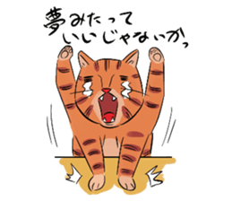 Daisuke, the cat. sticker #4928131