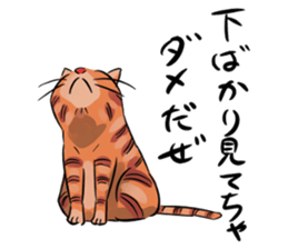 Daisuke, the cat. sticker #4928134